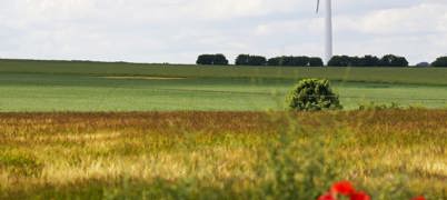 Wind Turbine In A Field