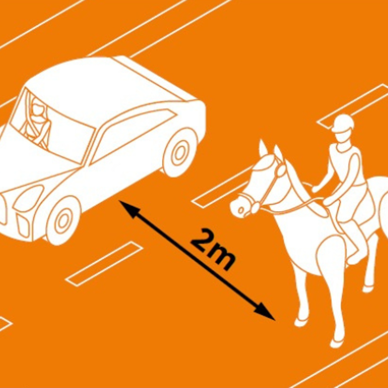 A graphic to show the safe passing distance of 2m between a car and a horse