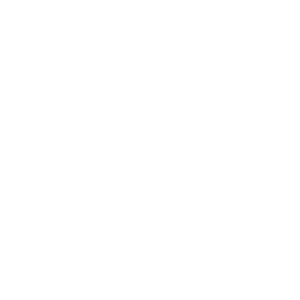 Working Intelligently White (1)