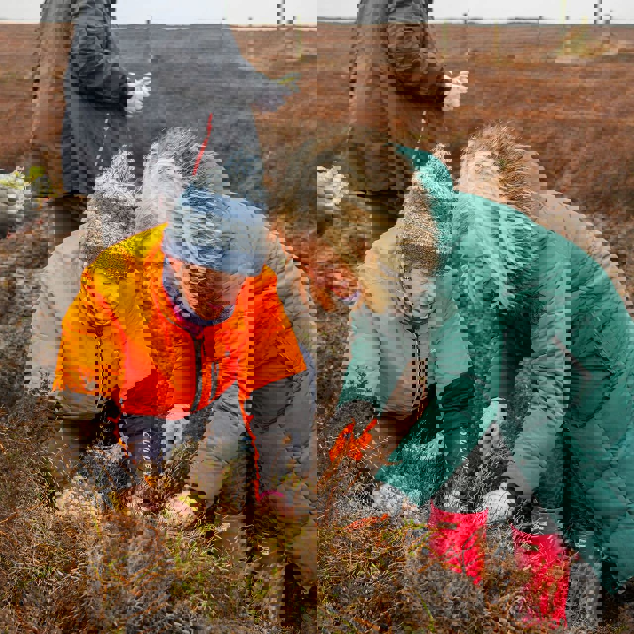 Moss Planting In Ogden