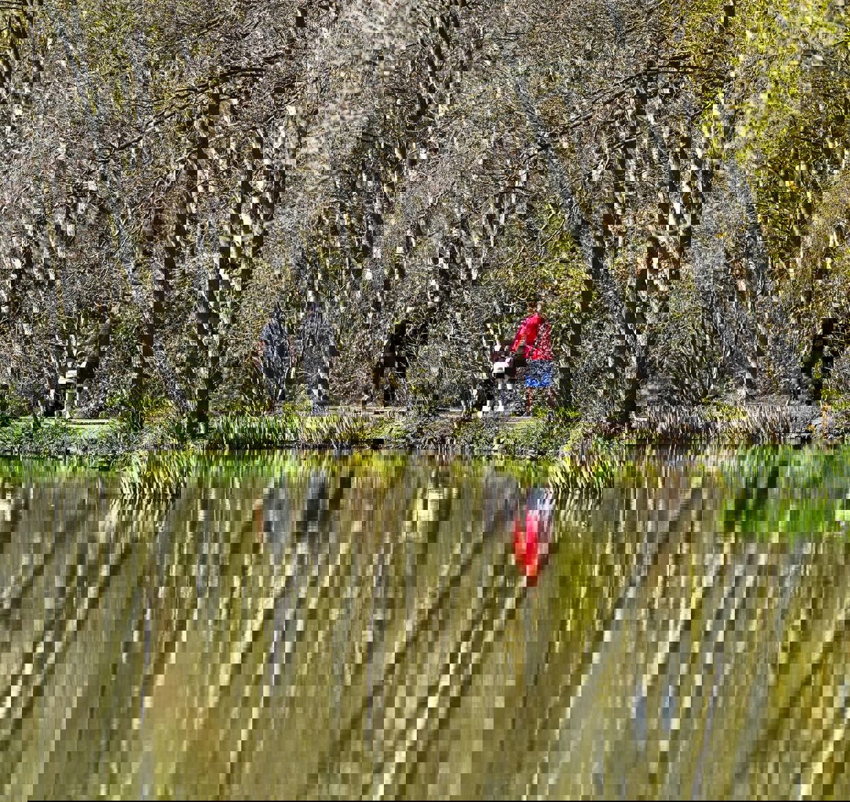 Newmillerdam In Wakefield