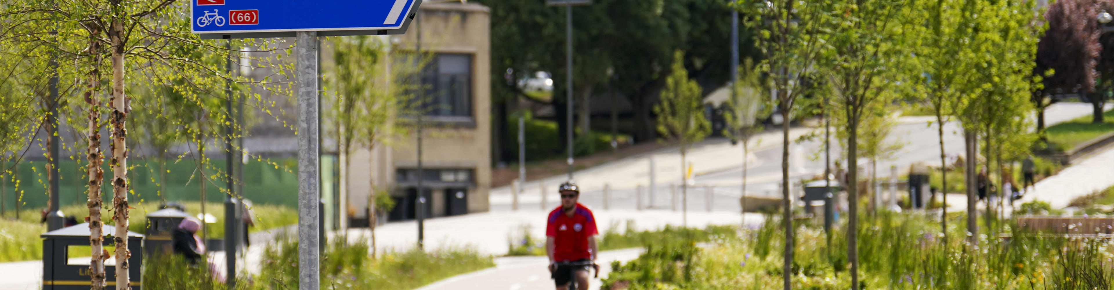 Cycle Lane In Bradford