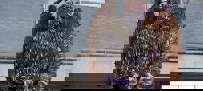 Sculpture of winged angel made of knives