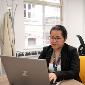 Combined Authority Colleague Working At A Laptop