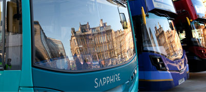 A row of buses