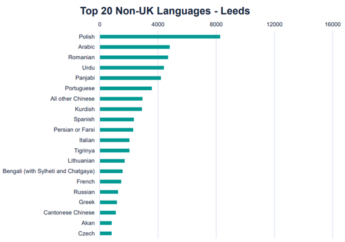 A graph to show the top non-UK languages spoken in Leeds