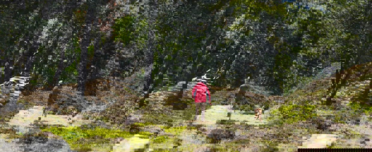 Man walking dog in woodland in Ilkley