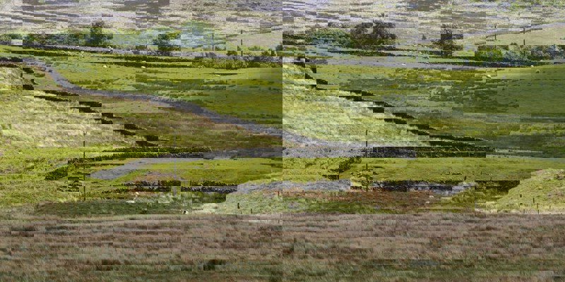 Countryside Ilkley Moor